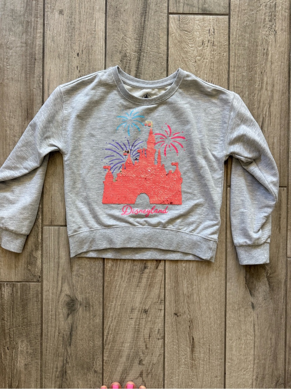 Disney Light Gray Crewneck with Black Disney Parks Castle Print